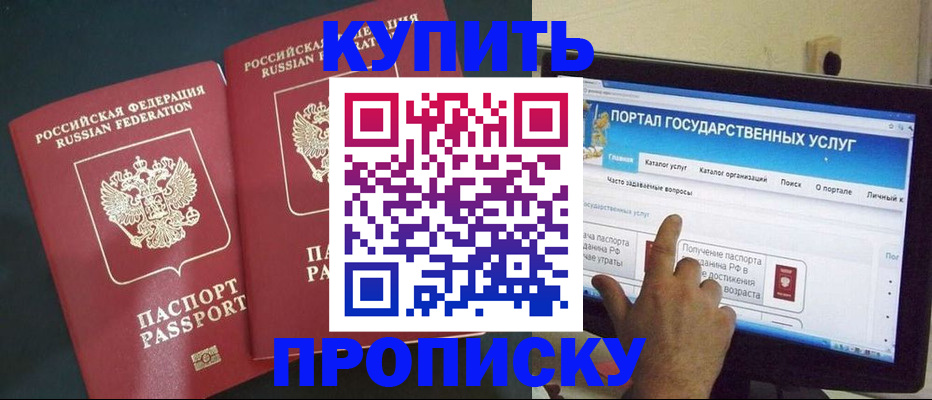 где прописаться в Дмитрове